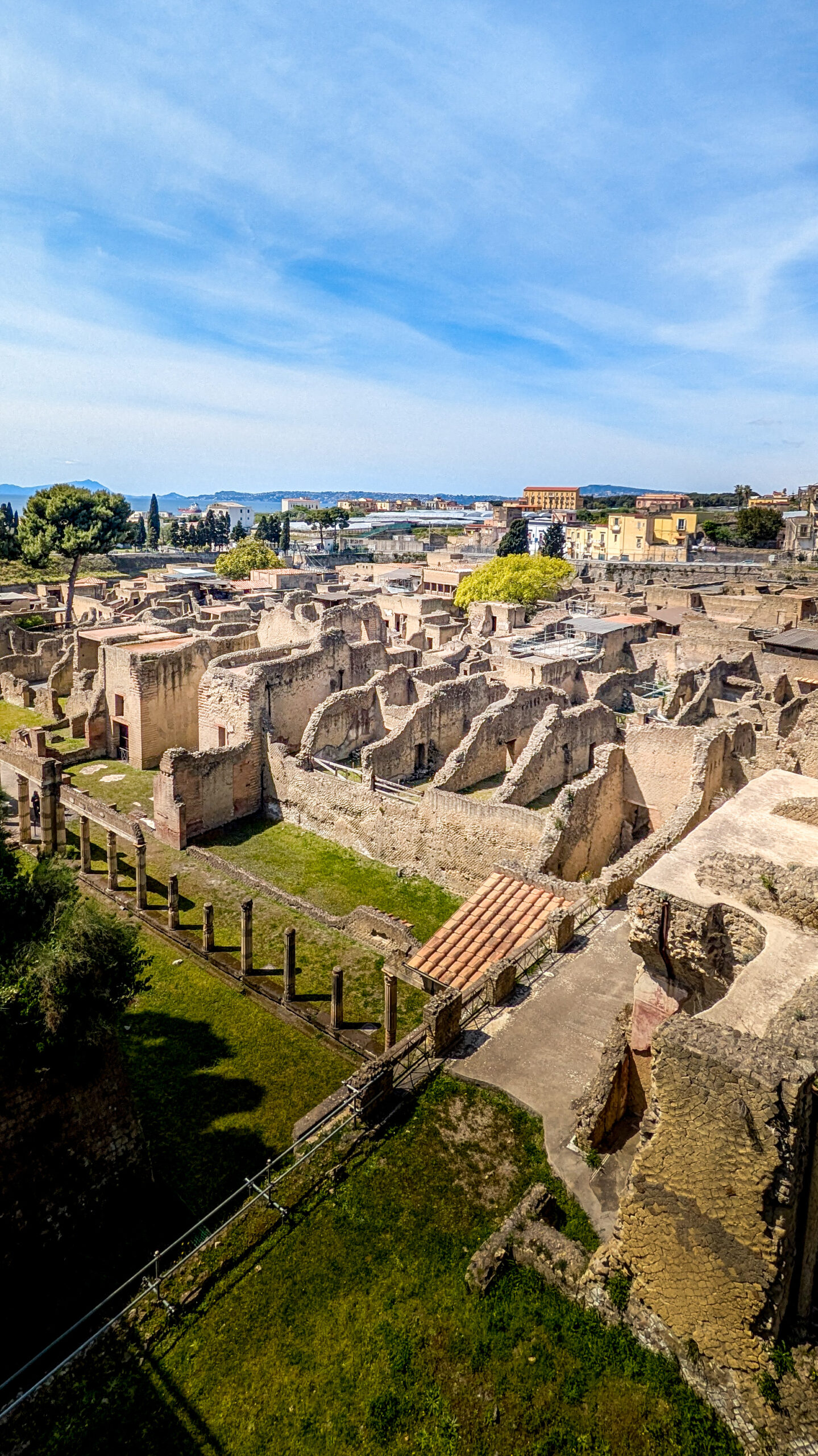 PXL_20250409_113026503.RAW-01.COVER