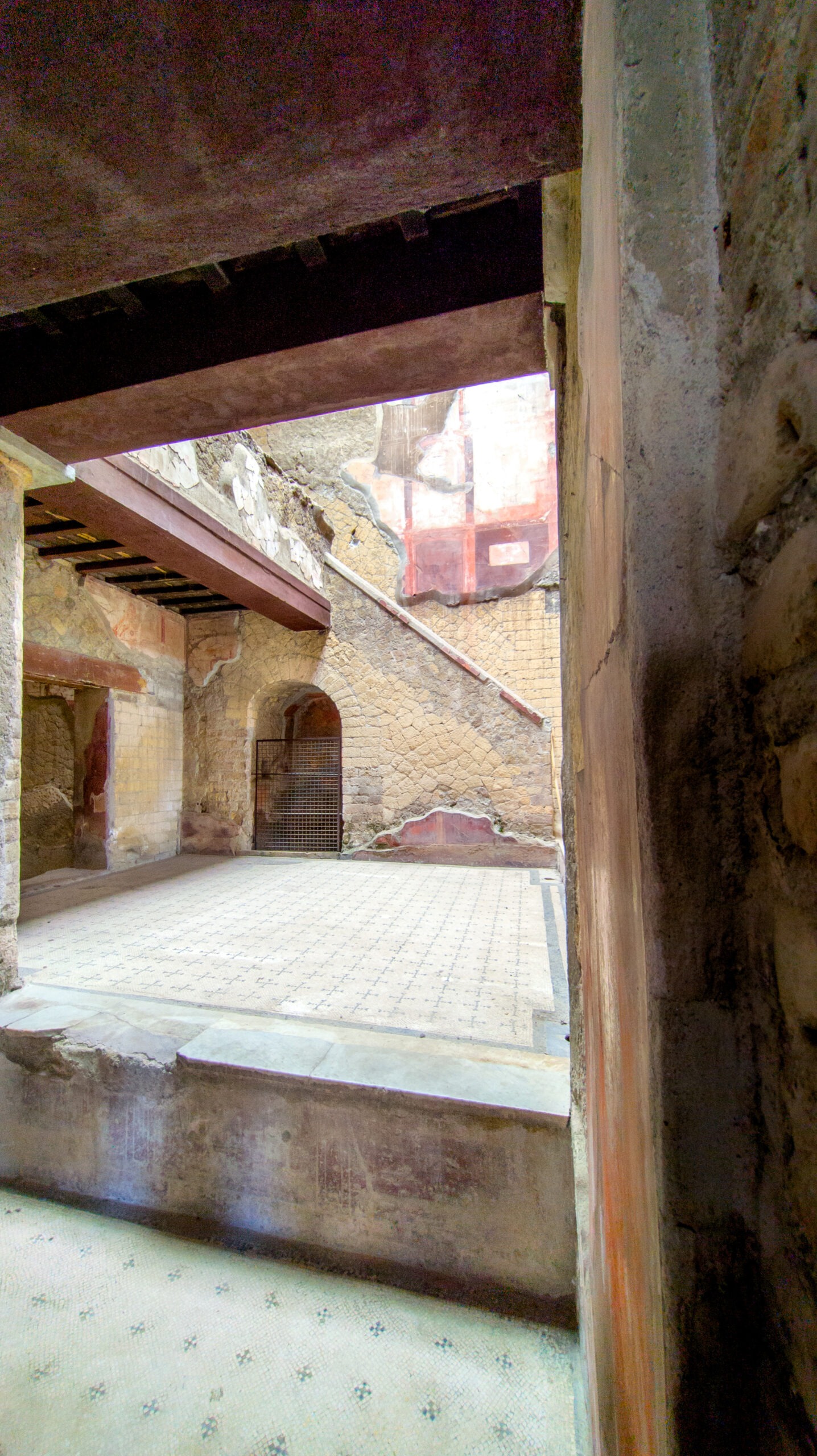 PXL_20250409_124940883.RAW-02.ORIGINAL