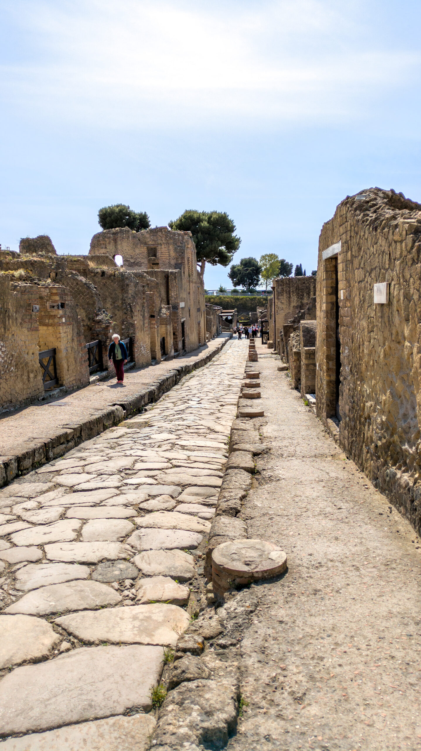 PXL_20250409_131700432.RAW-02.ORIGINAL