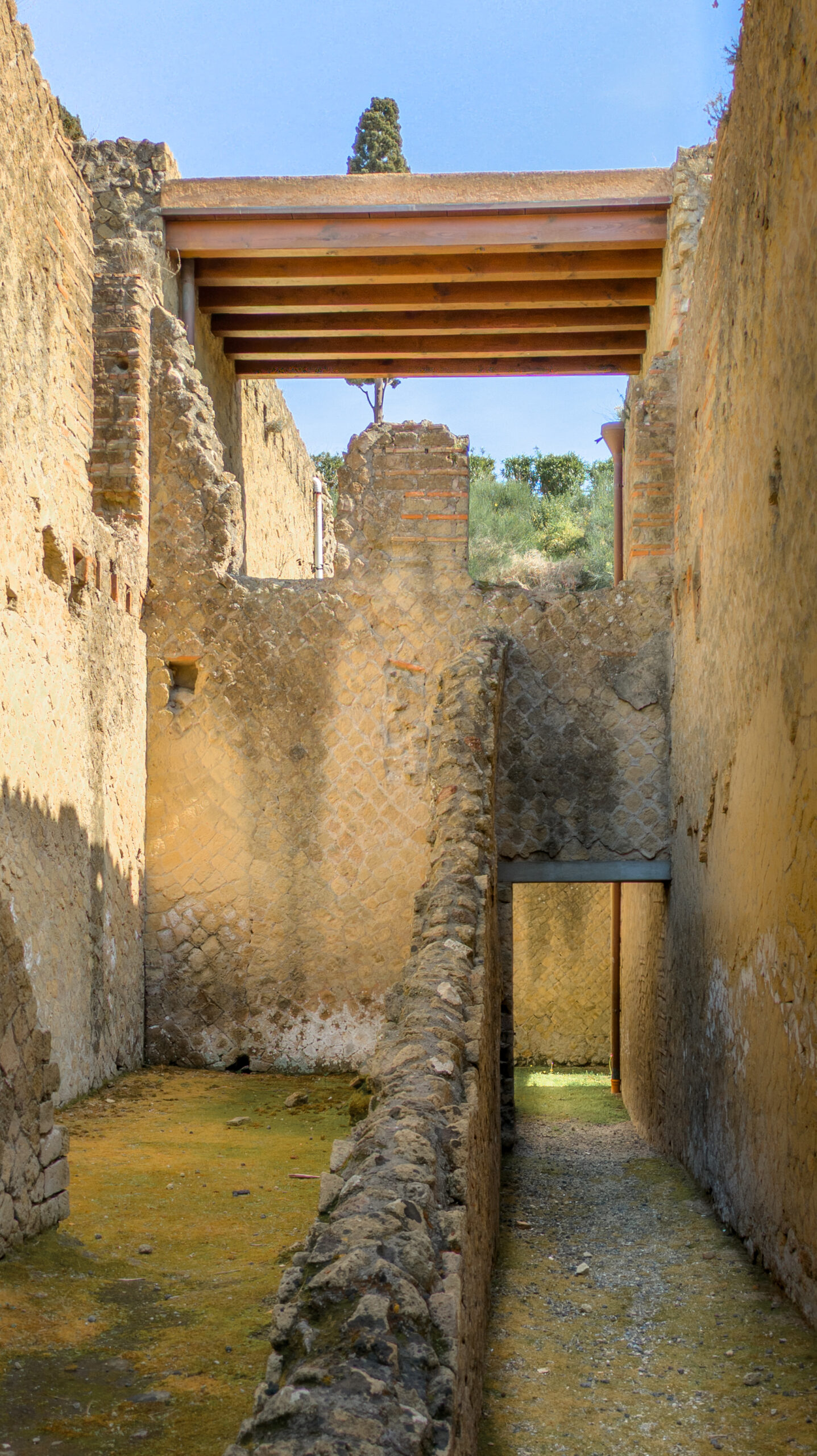 PXL_20250409_131955343.RAW-02.ORIGINAL