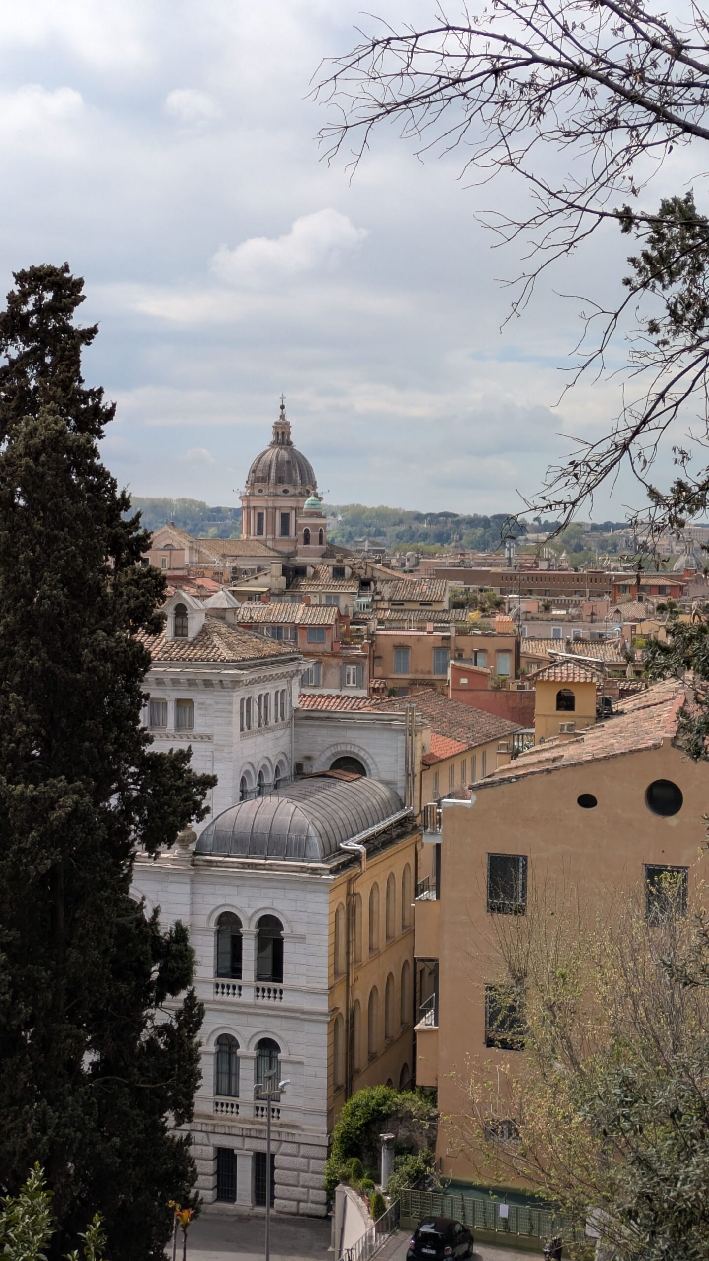 PXL_20250410_110755228.RAW-01.COVER