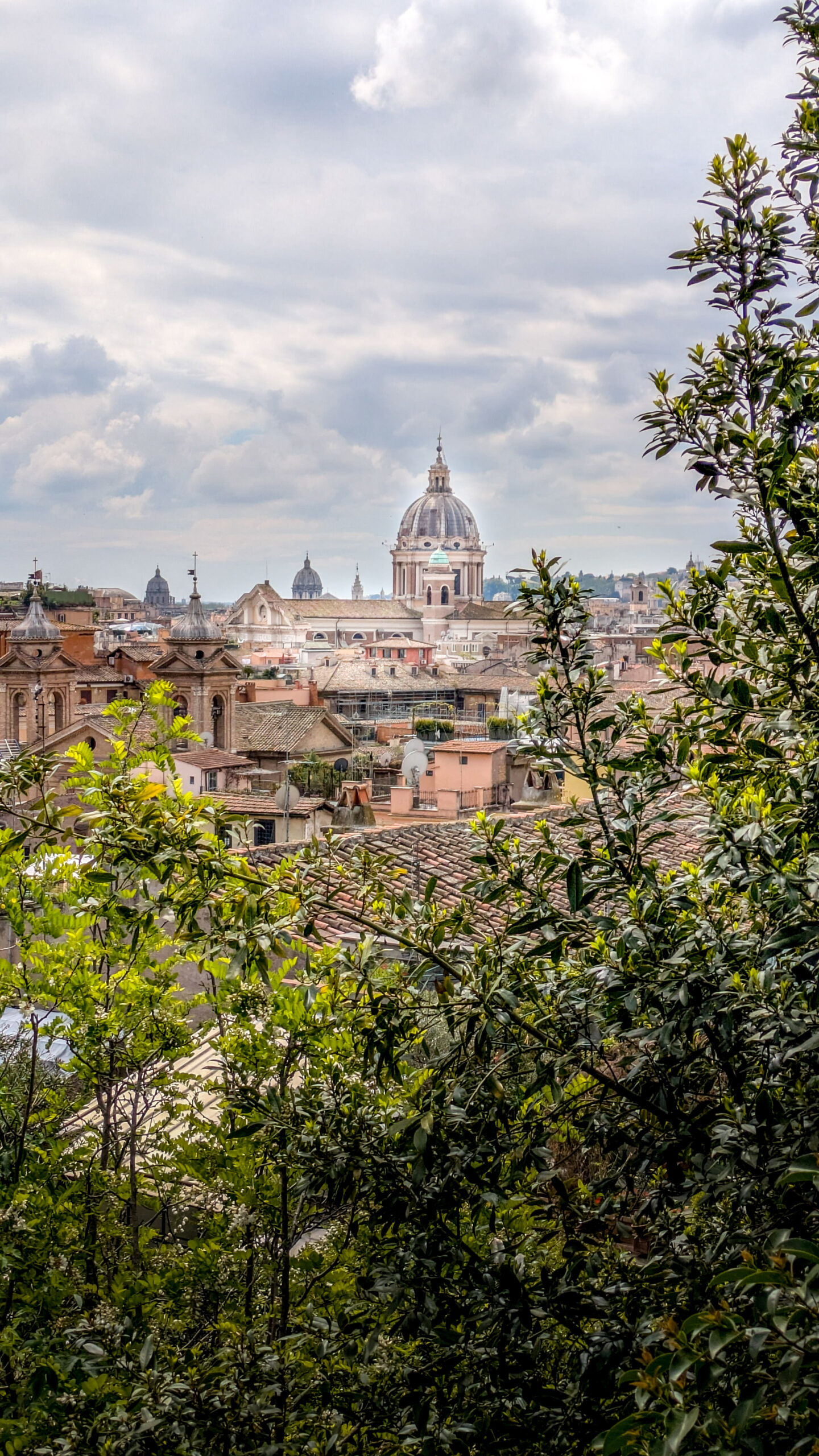 PXL_20250410_111153748.RAW-01.COVER